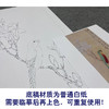 于非闇工笔画白描底稿《玉兰鹦鹉》临摹勾线高清打印稿YL28 商品缩略图3