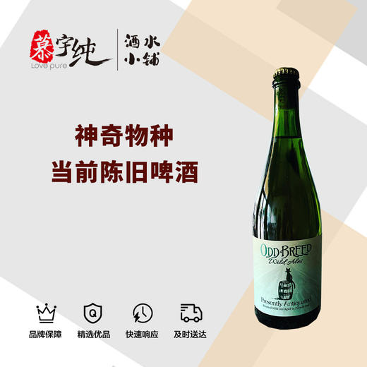 神奇物种当前陈旧啤酒 商品图0