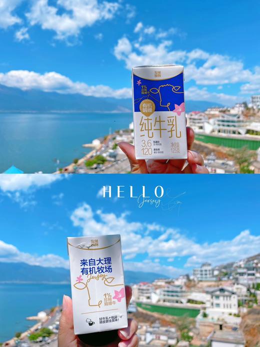 来自大理的有机牧场【有机娟姗纯牛乳】英国贵族奶牛 高海拔牧场 口感醇厚 顺滑香甜 三重有机认证 商品图3
