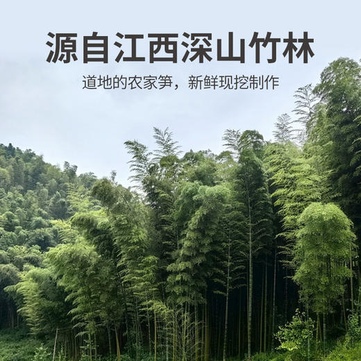 方家铺子 乐安竹笋500g/袋装（固形物含量≥50%） 商品图7
