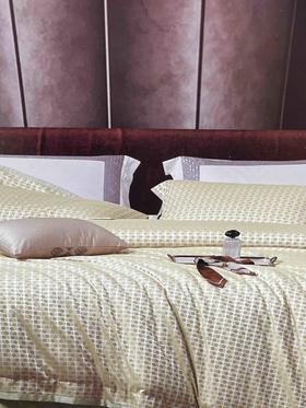 千伯伦天丝棉四件套220X 240cm