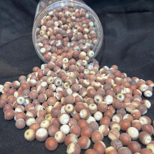 云南高原大圆颗粒芡实 400克/瓶 商品图5