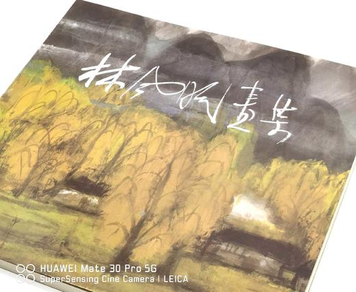 《林风眠画集》，林风眠绘，李霖灿序，12开，平装，收林风眠先生晚期精品94幅，历史博物馆1989年10月初版。238元。 商品图2