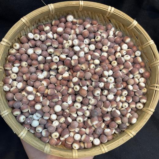 云南高原大圆颗粒芡实 400克/瓶 商品图2