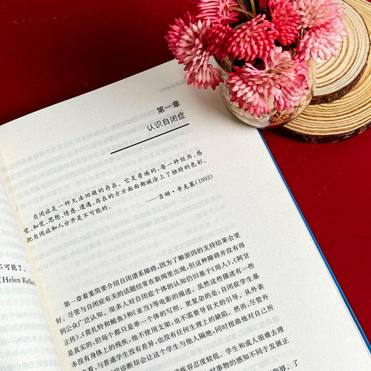 自闭症儿童教育学 普通班级青春期自闭症学生教学策略 特殊教育 商品图8