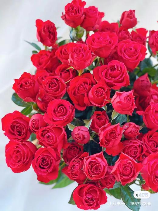 霓虹多头玫瑰 5支 商品图1