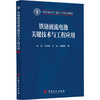 铁铬液流电池关键技术与工程应用 商品缩略图0