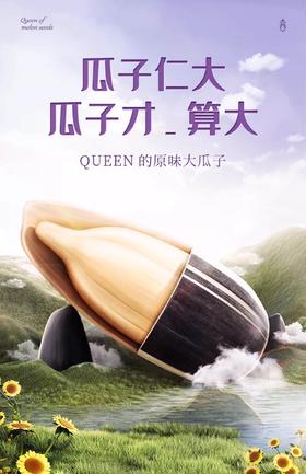 嗑西西高端原味瓜子 葵花籽大颗粒内蒙葵花籽罐装袋装0添加零食