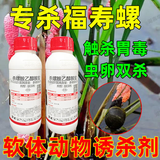 正品42%杀螺胺乙醇胺盐福寿螺专用灭螺杀螺水稻田沟渠强力杀虫剂 商品图1