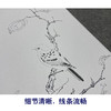 任重工笔画白描底稿《红叶秋禽》临摹勾线高清打印稿YL29 商品缩略图4