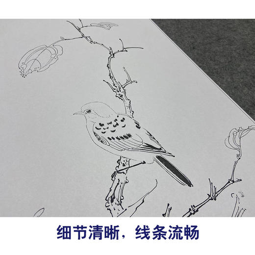 任重工笔画白描底稿《红叶秋禽》临摹勾线高清打印稿YL29 商品图4