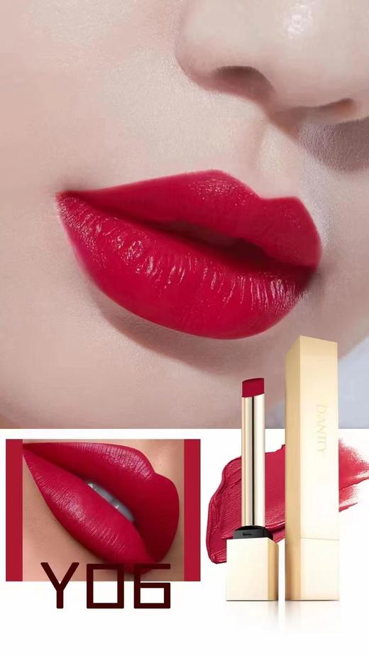 丹帝小金条丝绒唇膏-青春版Y05/Y04/Y03/Y02/Y01/版Y06 商品图2