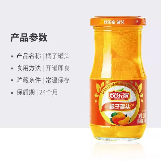 欢乐家罐头食品256g/瓶 商品图3