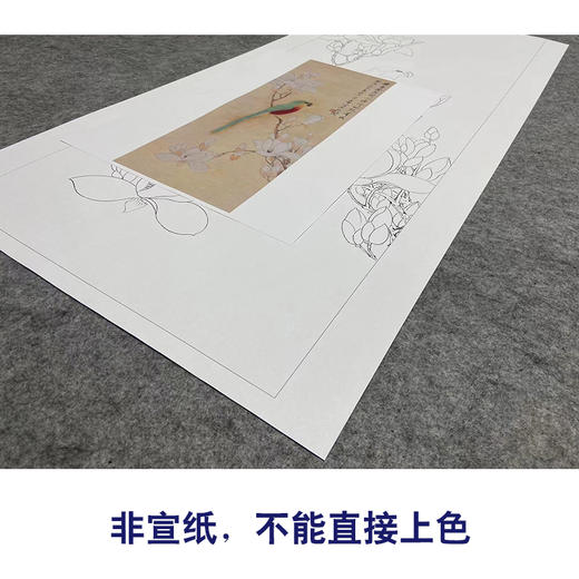 于非闇工笔画白描底稿《玉兰鹦鹉》临摹勾线高清打印稿YL28 商品图2