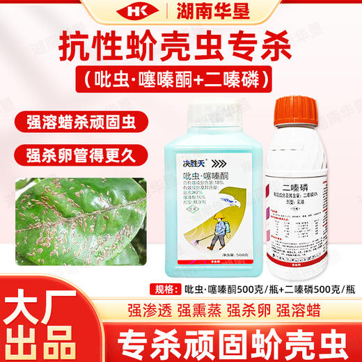 抗性介壳虫专用决胜天吡虫啉噻嗪酮蚧壳虫杀虫剂吡虫噻嗪酮二嗪磷 商品图0