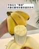 水培芭蕉🚫禁止蕉绿 商品缩略图3