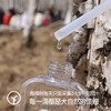 【2024头道浓缩白桦树汁】通过SGS低GI认证 308项农残0检出 欧盟有机认证】50ml*8支/盒 商品缩略图2