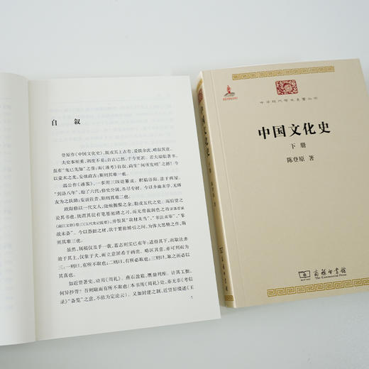 陈登原《中国文化史》（上下册） 商品图5