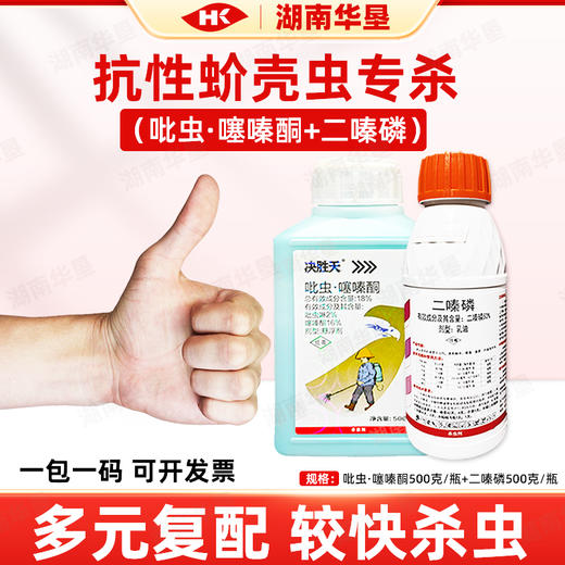 抗性介壳虫专用决胜天吡虫啉噻嗪酮蚧壳虫杀虫剂吡虫噻嗪酮二嗪磷 商品图2