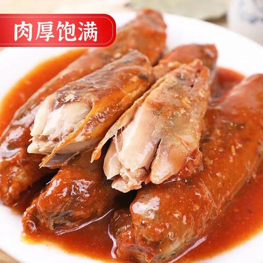 茄汁鲭鱼罐头，18罐组合，番茄酱汁搭配鲜美鱼肉，传统工艺，精心熬制，骨刺酥软，鱼肉紧实，肉质肥美，老人小孩都可以食用，滋味醇香好下饭M 商品图0