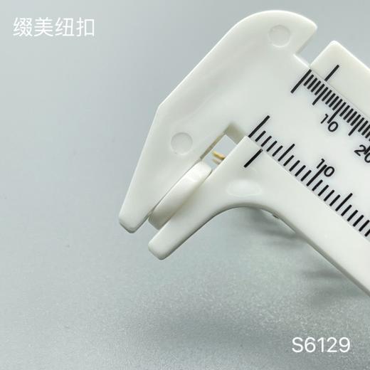 S6129(整包购买) 商品图6