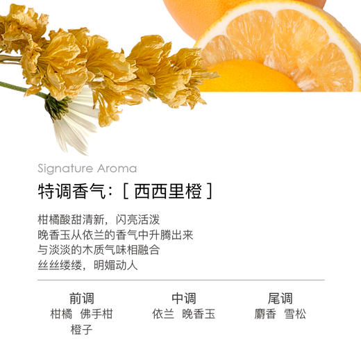 斐澳芮 意大利佛罗伦萨之花意大利进口西西里橙沐浴露520ml 商品图2