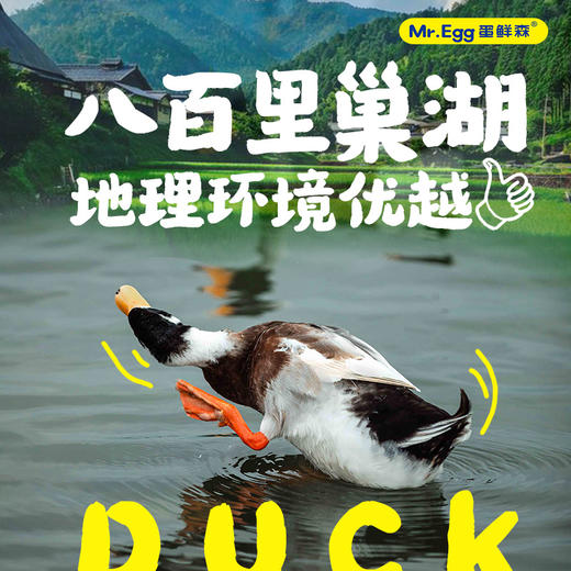 安徽巢湖仔麻鸭丨1KG/袋丨偏肥整鸭丨配料表只有麻鸭适合红烧爆炒偏肥介意勿拍蛋先森 商品图1