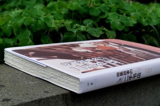 毛边+别册《收集故事的二手书店》，[韩]尹城根著，湖南人民出版社2024年一版一印，296页，定价56，毛边+别册版50元，普通+别册45元。 商品图3