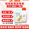 抗性介壳虫专用决胜天吡虫啉噻嗪酮蚧壳虫杀虫剂吡虫噻嗪酮二嗪磷 商品缩略图1