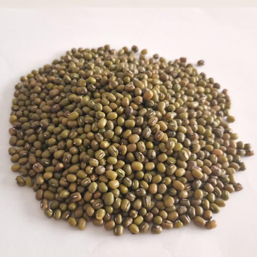 云南高原原生态绿豆 500克/瓶 商品图2