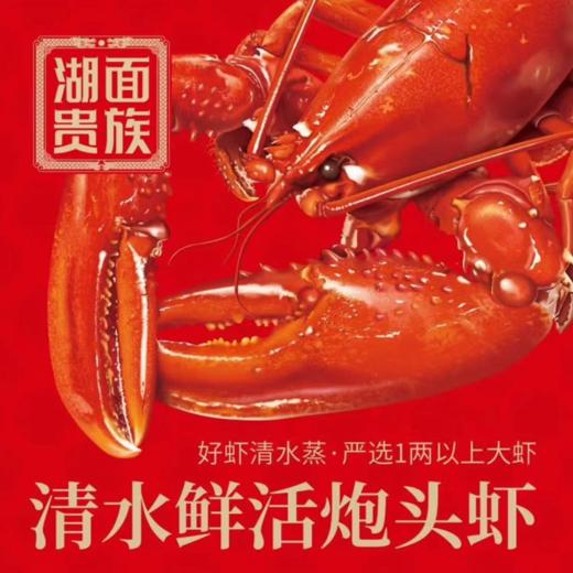 【湖面贵族佑晨光】清水炮头虾598型750g 商品图3