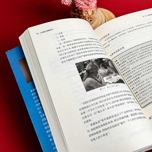 自闭症儿童教育学 普通班级青春期自闭症学生教学策略 特殊教育 商品图13