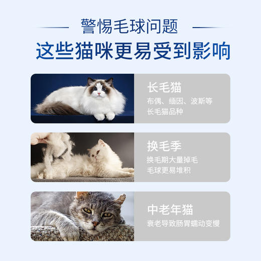 bungener博根拿猫化毛膏深海三文鱼配方美毛化毛二合一提升免疫力 商品图1