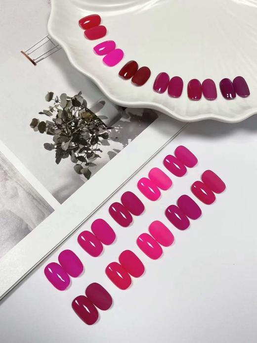 16色乌梅紫酱 商品图1