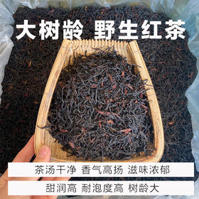 展会版 大树龄的凤庆野生红茶250克一份