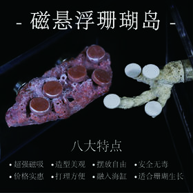 磁吸款悬浮岛（含珊瑚基座）