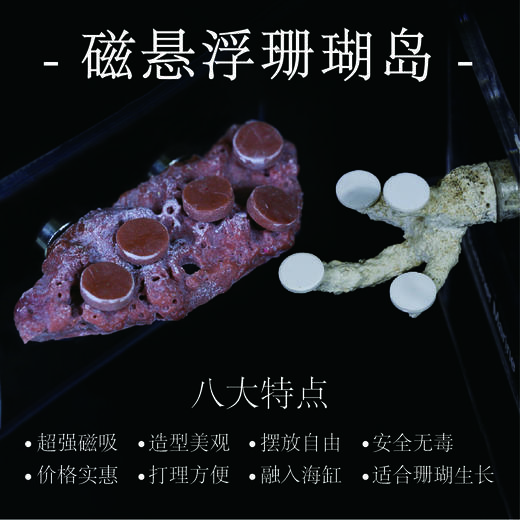 磁吸款悬浮岛（含珊瑚基座） 商品图0