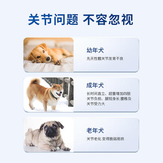博根拿鲨鱼软骨素狗狗关节锭补钙泰迪金毛犬用宠物狗狗关节软骨素 商品图2