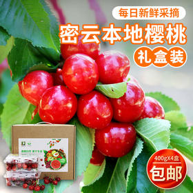 【包邮】密农人家现摘新鲜大樱桃  自然成熟  酸甜多汁 400g×4  礼盒装