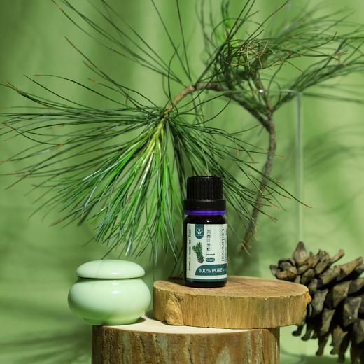 菜头商城植物精油（5款可选）任购三瓶即赠一只精油宠物 商品图4