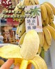水培芭蕉🚫禁止蕉绿 商品缩略图2