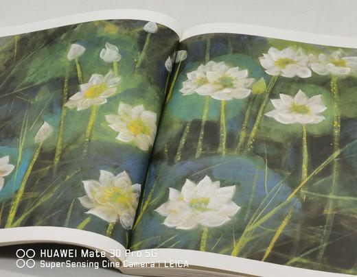 《林风眠画集》，林风眠绘，李霖灿序，12开，平装，收林风眠先生晚期精品94幅，历史博物馆1989年10月初版。238元。 商品图7