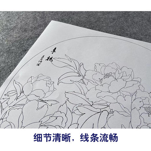 王后波工笔画白描底稿圆形小品《争艳》临摹勾线高清打印稿YL32 商品图4