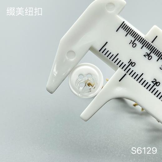 S6129(整包购买) 商品图5