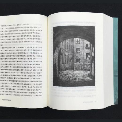 陀思妥耶夫斯基文集八种九卷（陀思妥耶夫斯基文集） 商品图2