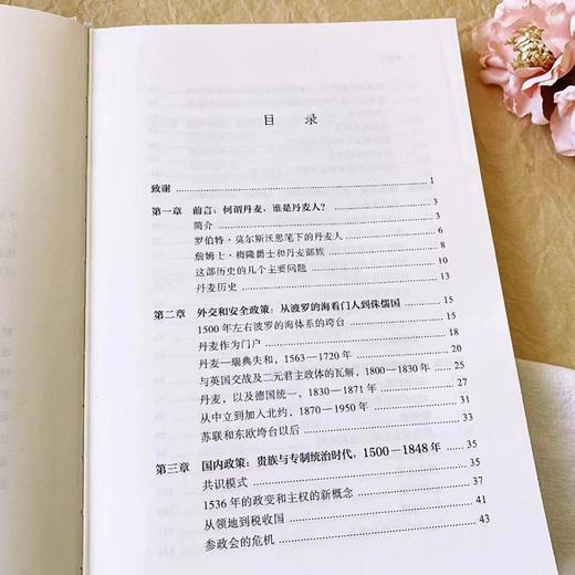 丹麦史(区域国别史丛书) 商品图2