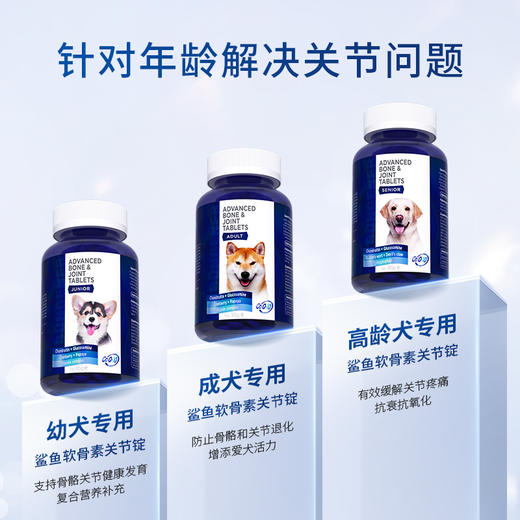 博根拿鲨鱼软骨素狗狗关节锭补钙泰迪金毛犬用宠物狗狗关节软骨素 商品图1