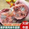 【超好吃！俄罗斯风味牛筋肠】开袋即食，Q弹柔韧，肉香四溢，软嫩油润！大块牛筋看得见火腿肠180g/根下酒菜零食 商品缩略图0