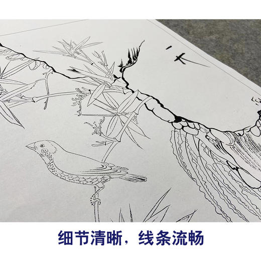 赵佶工笔画白描底稿竹子小品《竹禽图》临摹勾线高清打印稿YL30 商品图4