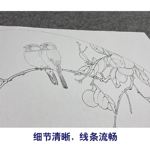 于非闇工笔画白描底稿扇面《窗前喜乐图》临摹勾线高清打印稿YL27 商品图4